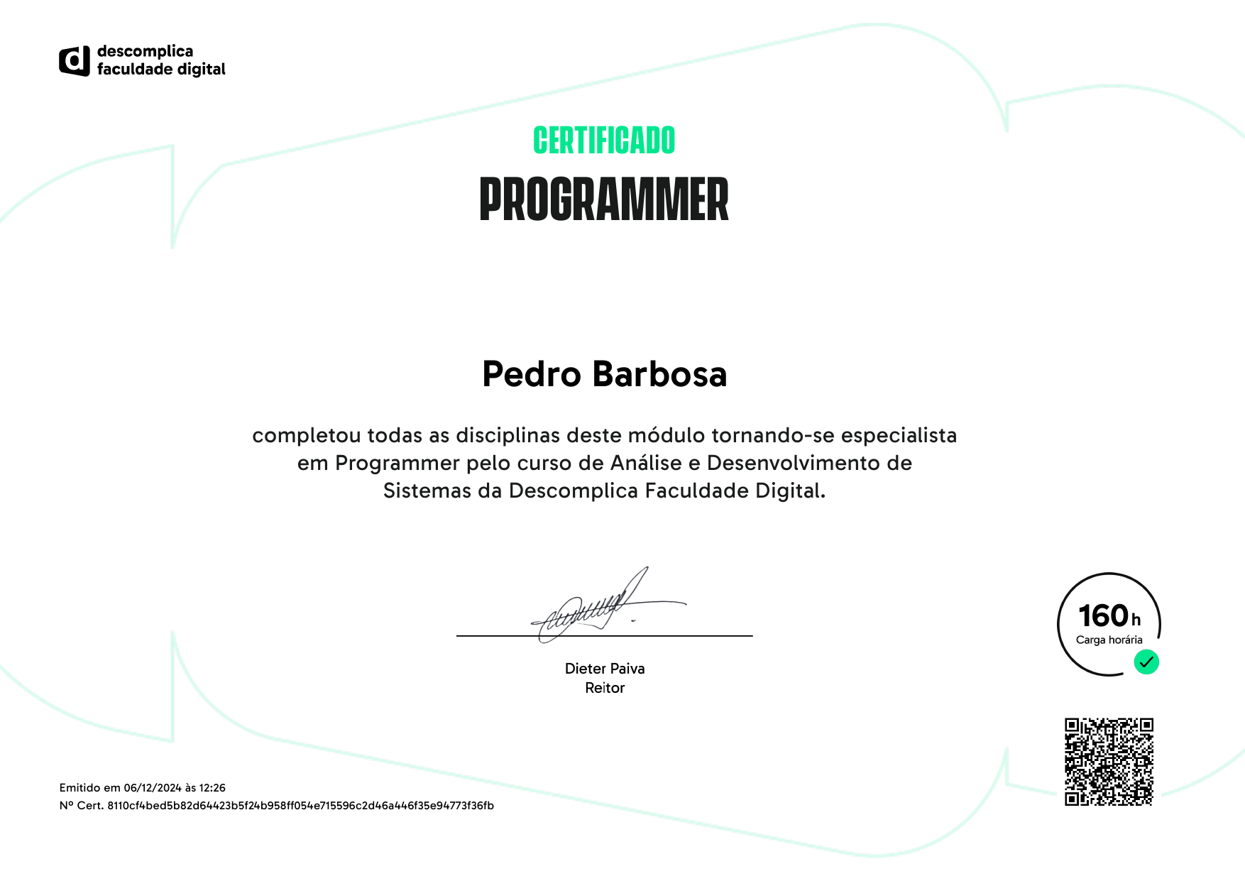 Programmer